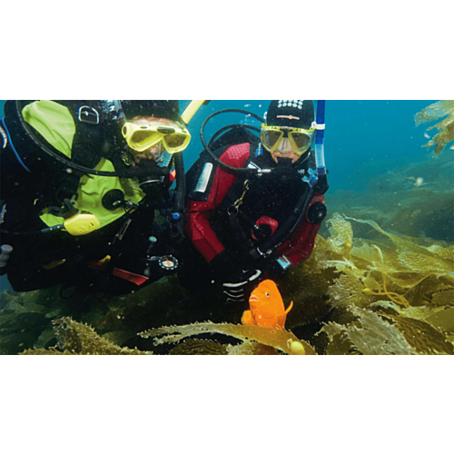 PADI Drysuit Diver Course