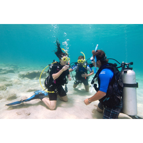 PADI Open Water Scuba Instructor Upgrade