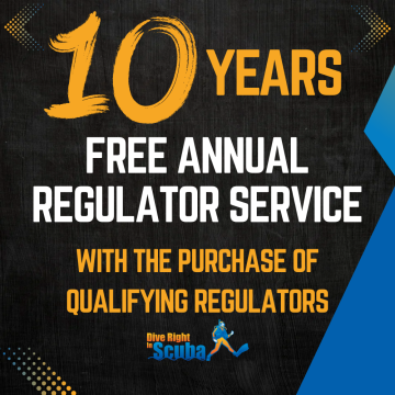 Regulator Service for 10 Years