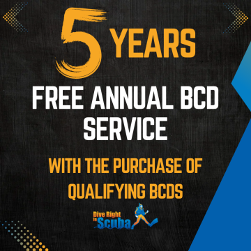BCD Service for 5 Years
