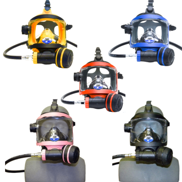 Guardian Full Face Mask