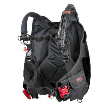 Flex Hybrid BCD
