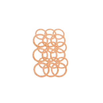Replacement Sanding Discs (10 sets)