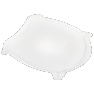 Wisdom Lens Guard