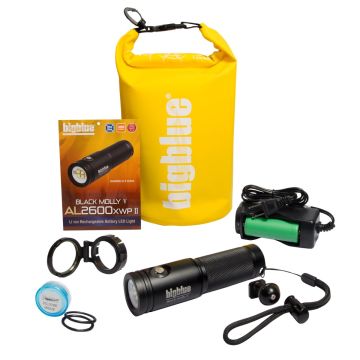 2600 Lumen Extra-Wide Video Light - Closeout