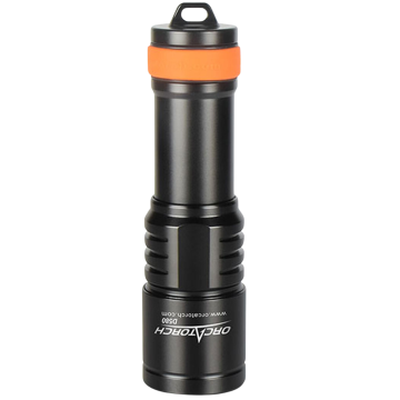 D580 Dive Light