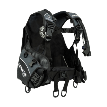 Celeste Women's BCD