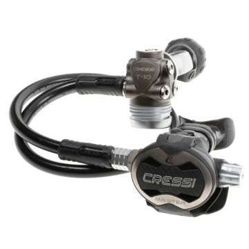 T10-Sc Pvd + Master Regulator
