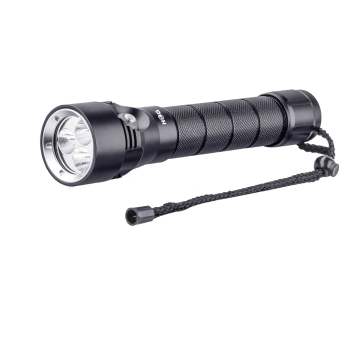 1600 Lumen Light