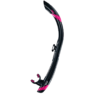 SV2 Snorkel