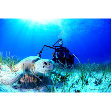 SDI Underwater Photographer Diver Course