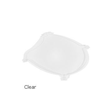 Wisdom Lens Guard