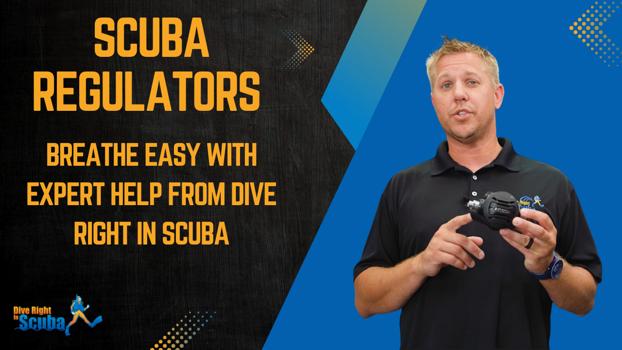 Scuba Regulators Breath Easy With Expert Help From Dive Right In Scuba