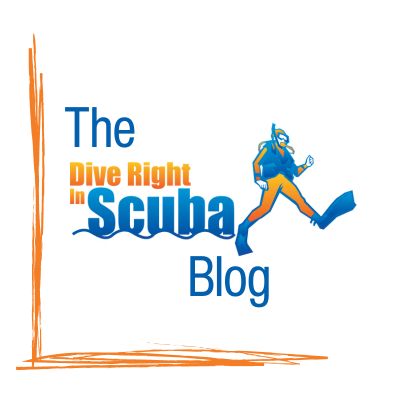 Dive Right In Scuba Logo with The Dive Right In Scuba Blog spelled out