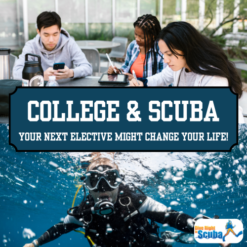 An image of college students above an image of a scuba diver