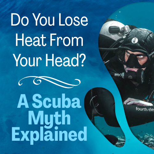 Do you lose heat from your head?