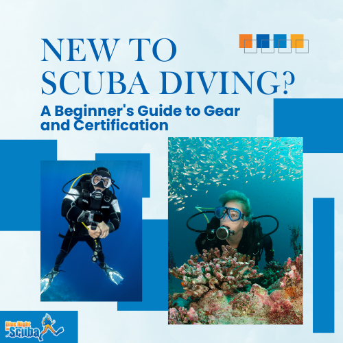 New To Scuba Diving?