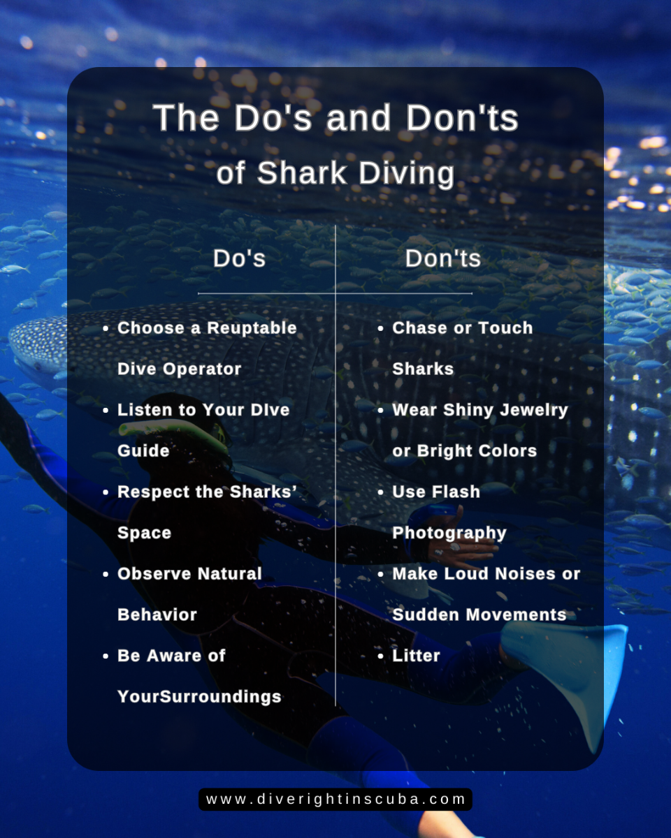 An infographic covering the dos and don'ts of shark diving