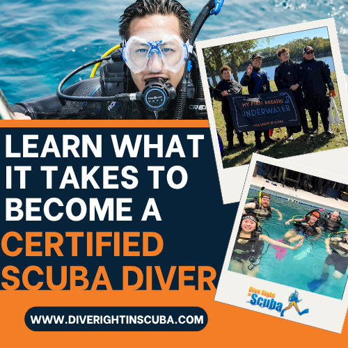 Learn What It Takes To Become a Certified Scuba Diver