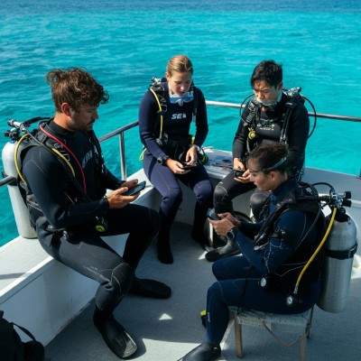 Four divers sitting on a boat using their phones