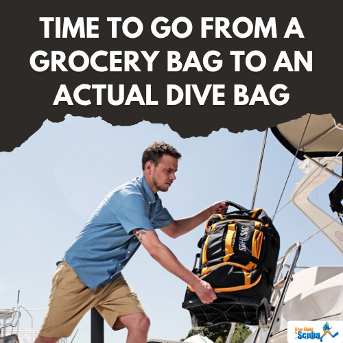 from grocery bags to dive bags