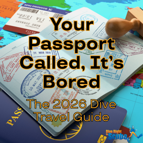 Your Passport Called, It's Bored. 2026 Dive Travel Guide