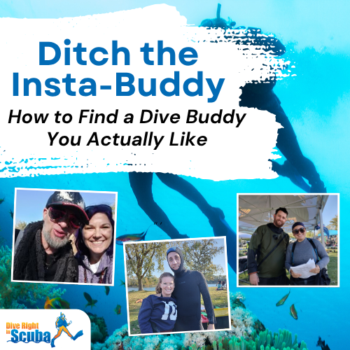 Finding a dive buddy you actually like