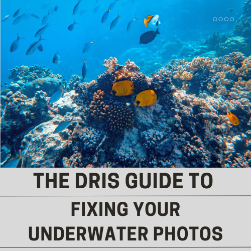 The DRIS Guide to Fixing Your Underwater Photos