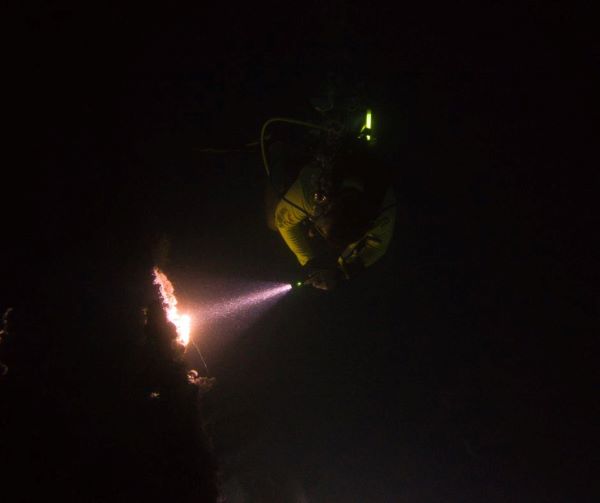 A diver exploring underwater in the darkness with only a dive light