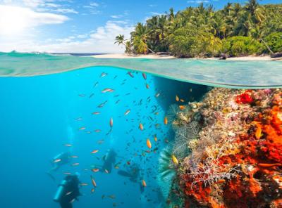 Underwater on a tropical beach