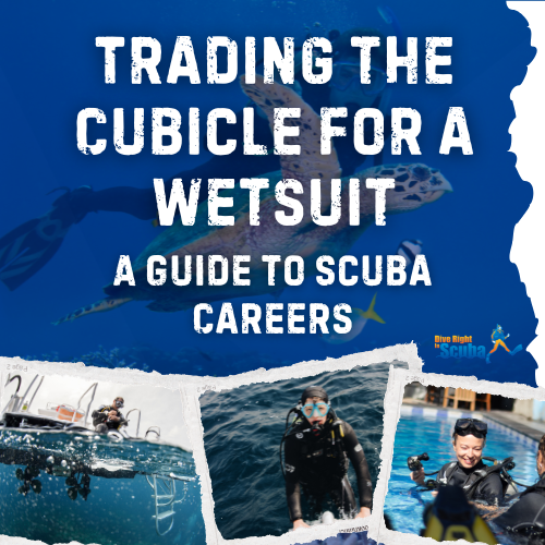 A Guide to Scuba Careers