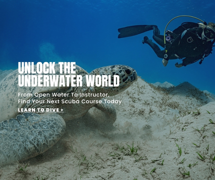 Explore top-quality scuba gear