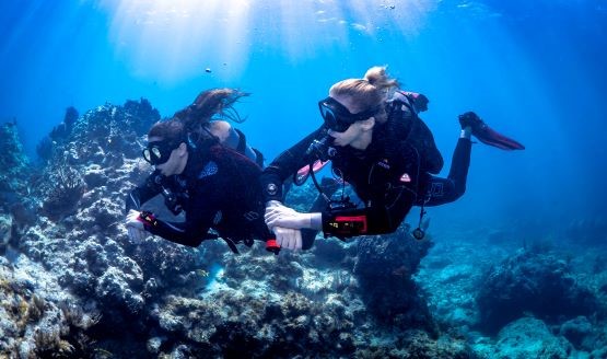 Two female divers underwater in full scuba gear, they're checking their dive gauges