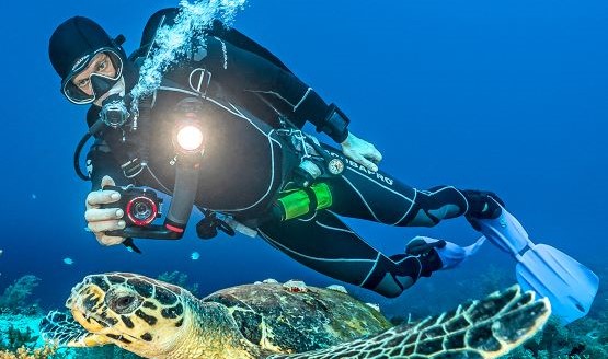 A diver taking a photo of a turtle while underwater