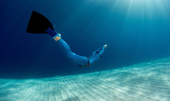 A freediver is near the bottom of the ocean floor wearing black fins and a blue wetsuit