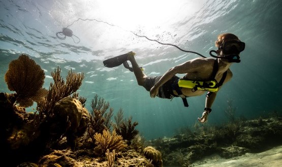 Diver underwater with a hose leading to a diving hookah system at the water's surface