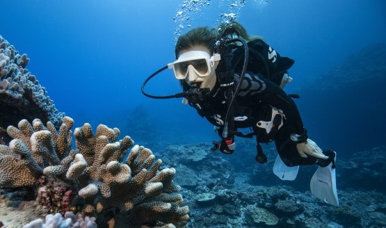 A diver underwater exploring looking at coral. She's wearing full gear including a white dive mask