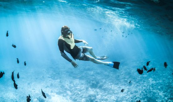 A snorkeler underwater surrounded by fish. He's wearing boardshorts and a snorkel vest