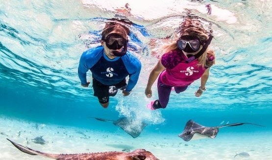 A male and female snorkeling in the water surrounded by manta rays