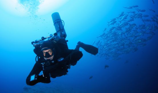 A diver underwater decked out in black scuba gear, a school of fish swim off to the left