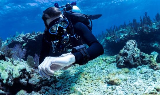 A diver underwater and surrounded by coral looking at his wrist-mounted dive computer