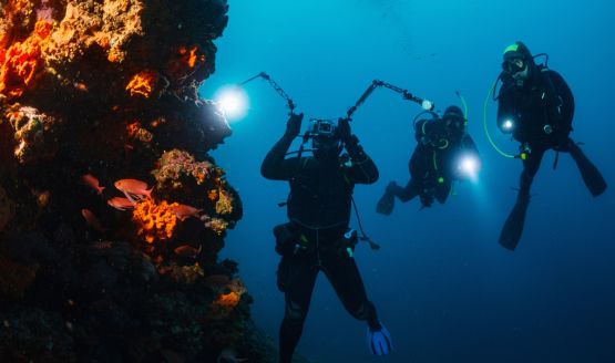 Three divers underwater looking at a rock formation. All divers are holding onto dive lights