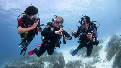 PADI Professional Courses - Instructor Development Course (IDC)