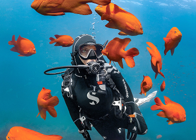 Scuba gear guide