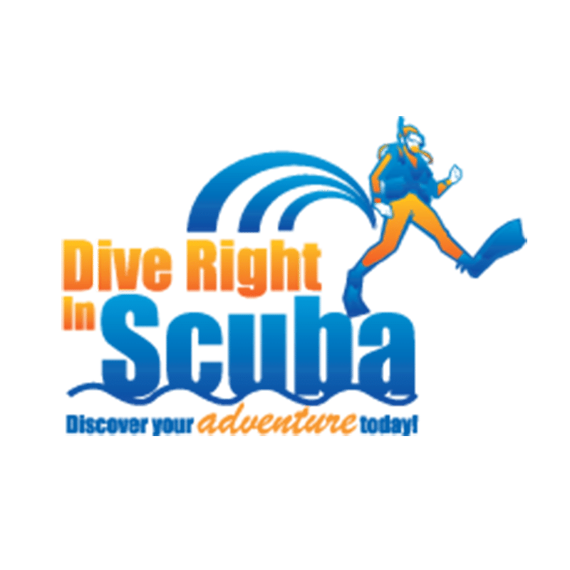 Dive Charter