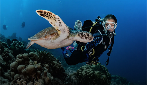 Scuba Courses